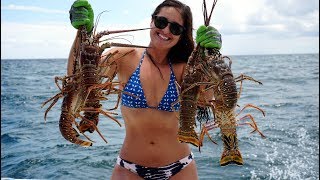 Florida Lobster Limits CATCH Clean COOK [upl. by Charlet]