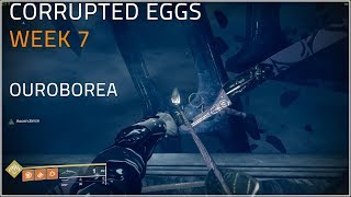 All Corrupted Eggs  Ascendant Challenge quotOuroboreaquot  Destiny 2 Forsaken [upl. by Aubarta605]