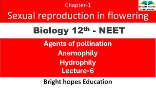 BIOLOGYNCERT ClASS12 CH1 L6 SEXUAL REPRODUCTION IN FLOWERING PLANTS AGENTS OF POLLINATION [upl. by Maghutte]