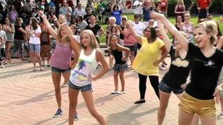 Flash Mob at Dancing in the Streets  TimeKeepers Productions [upl. by Wesla]