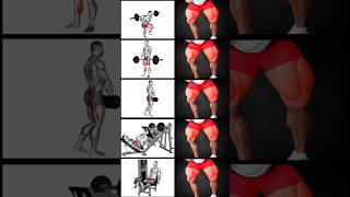 Legs exercises  legs workout legsworkout legsday gymworkout homeworkout [upl. by Ayt]