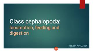 Locomotion feeding and digestion in class cephalopoda  Phylum Mollusca class cephalopoda [upl. by Eiramanel146]