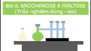 Video 214 Bài 5 SACCHAROSE amp MALTOSE Trắc nghiệm đúng  sai [upl. by Aletsirc380]