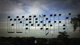 Amazing Music by the Birds on a Wire [upl. by Natika800]