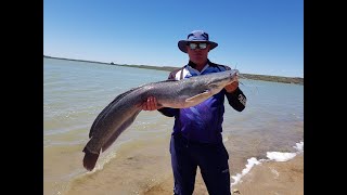 Carp fishing at Spitskop Dam in the Northern Cape [upl. by Levitus]