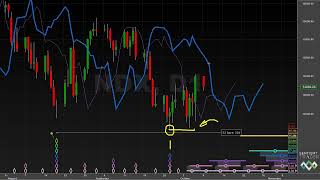 The 40day cycle  Hurst Cycles Market Update  9 October 2023 [upl. by Beverle]