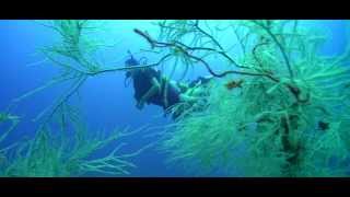 PADI Enriched Air Diver Course [upl. by Scherman]