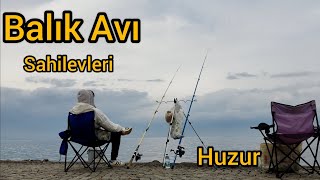 Sahilevleri Çipura Avı  İzmir Kıyıdan Balık Avı [upl. by Hemingway]