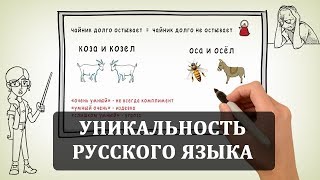 Русский язык Факты про русский язык Уникальный и лучший язык в мире [upl. by Ayiotal397]