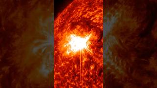 The Sun Erupted Double XFlares shorts science space [upl. by Aniahs]