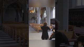 CORDELIA  FRATRES wild bit by Arvo Pärt violin [upl. by Nilkoorb]