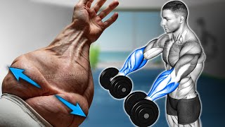 5 BEST Exercises for Bigger Forearms Workout [upl. by Ailalue729]