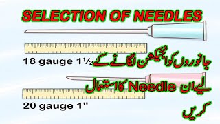 Syringe amp Types of Needles for CattleNeedles selectionSyrings for Goats [upl. by Naicad191]