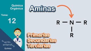 Nomenclatura y Clasificación  Ejemplos y Ejercicios [upl. by Aurora]