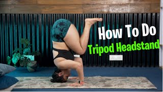 How To Do Tripod Headstand [upl. by Adlee]