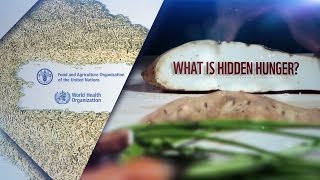 WHOFAO International Conference on Nutrition Hidden hunger [upl. by Jangro]