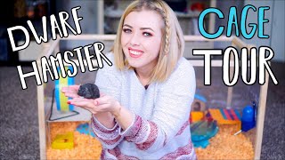 Moving My Hamster Into His New Cage  Dwarf Hamster Cage Tour [upl. by Elledoj]