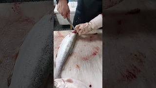 trout cleaning fillet in fish market shorts [upl. by Russia105]