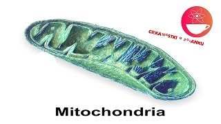 Mitochondria  czyli quotNiech Moc będzie z tobąquot w realu [upl. by Ettenej]