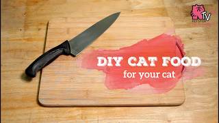 DIY Cat Food [upl. by Shelley195]