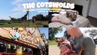 cotswolds vlog 🐛🌳 the frogmill cotswolds wildlife park and gardens burton on the water [upl. by Leuqram]