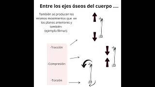 Planos y ejes del cuerpo Fisioterapia Bilbao [upl. by Labotsirhc]