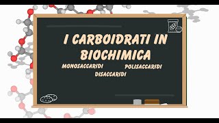 Le biomolecole i carboidrati [upl. by Adnanref]