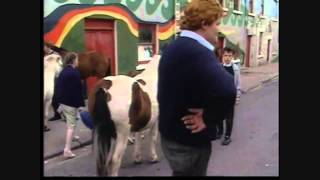 WESTPORT HORSE FAIR Westport County Mayo Ireland 80s  90s [upl. by Genaro363]