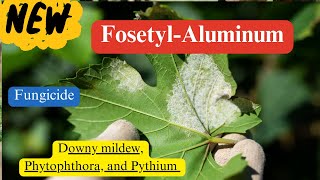 FosetylAluminum Chemistry Mode of Action and Diverse Applications [upl. by Donelson804]