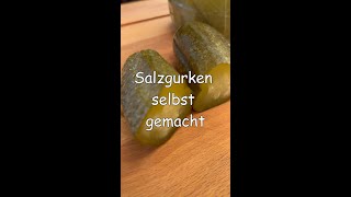 Geheimes Rezept meiner tschechischen Oma für Salzgurken  My grandmas recipe for pickled gherkins [upl. by Fowkes569]