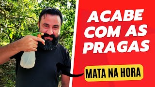 MATA COCHONILHAS PULGÃO E MOSCA BRANCA NA HORA MENOS DE UM REAL [upl. by Htebzile]