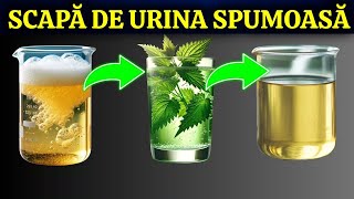 TOP 10 CEAIURI ȘI ALTE BĂUTURI PENTRU TRATAREA RINICHILOR ȘI STOPAREA PROTEINURIEI [upl. by Aekerly285]