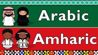 SEMITIC ARABIC amp AMHARIC [upl. by Hutchins]