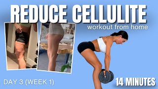 REDUCE CELLULITE FAST  14Day Home Workout Plan for Toned Legs amp Booty  DAY 3 week 1 [upl. by Sullivan]