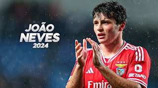 João Neves  Full Season Show  2024ᴴᴰ [upl. by Davide350]