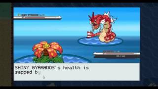 Shiny Gyarados in PokeMMO [upl. by Yarled]