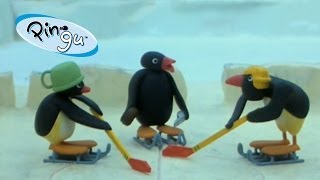 Pingu Pingu Plays Hockey [upl. by Foulk782]