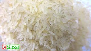 আরামবাগ মিনিকে‌ট ।। आरामबाग मिनीकैट राइस ।। Arambagh Miniket Rice [upl. by Kohler393]