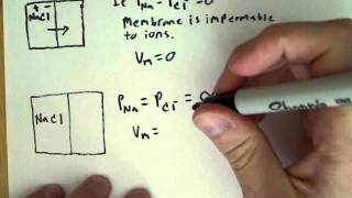 Resting Membrane potential and electrical properties of the cell [upl. by Nwadal]