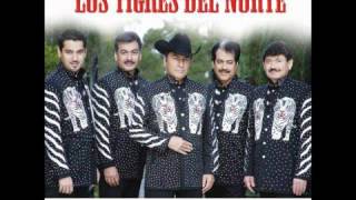 Los Tigres Del Norte  Compañera [upl. by Atnek]