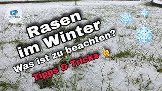 🧑🏻‍🌾 RASENPFLEGE BEI FROST amp SCHNEE IM WINTER ❄  DAS IST ZU BEACHTEN❗ [upl. by Ecam5]