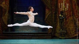 Sergei Polunin  Grand Pas from the ballet Paquita [upl. by Vary]