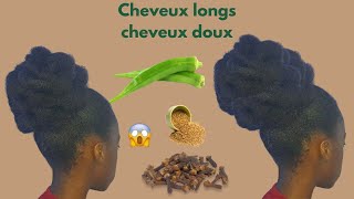 LOTION NATURELLE POUR DES CHEVEUX DOUX ET LONGS [upl. by Elawalo742]