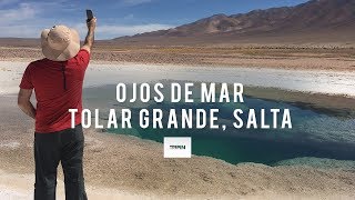 Ojos de Mar en Tolar Grande  Una de las explicaciones de la vida en la Tierra [upl. by Inkster]