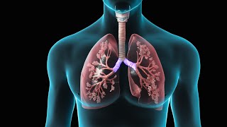 Spirometry  Test for Lung Function  Nucleus Health [upl. by Riane]