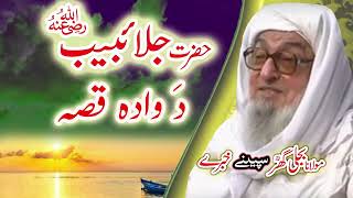 Molana Bijligar رحمۃاللہ علیہ pashto bayan حضرت جلائیبیب ؓ واقعہ [upl. by Haiacim198]