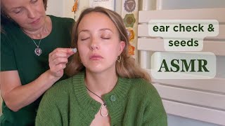 Tingly ASMR Ear Inspection amp Treatment with Ear Seeds asmraugust Unintentional ASMR Real Person [upl. by Buskus]