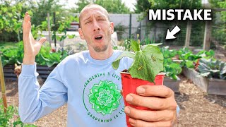 You’re Killing Your Cucumbers if You Do This 5 MISTAKES You Can’t Afford to Make Growing Cucumbers [upl. by Atilrac]