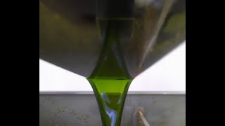 High Quality Crude Avocado Oil Extraction [upl. by Annaihr827]