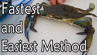 How to Clean a Blue Claw Crab [upl. by Eudoca]